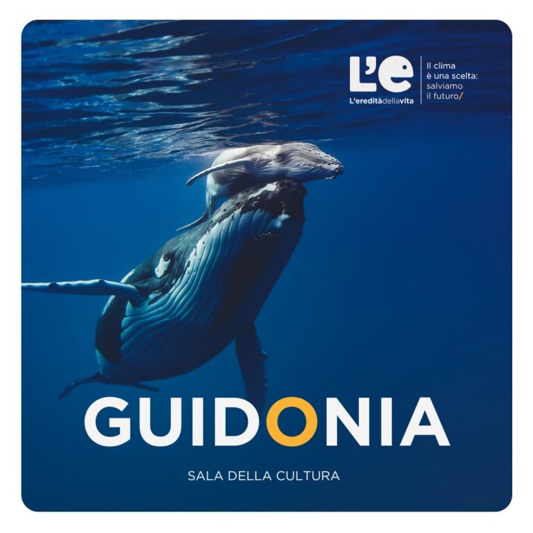 Megattera nell'oceano che spinge un piccolo verso l'alto. Una scritta grande al centro dell'immagine dice "Guidonia - Sala della cultura"