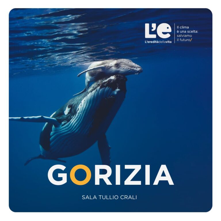 Megattera nell'oceano che spinge un piccolo verso l'alto. Una scritta grande al centro dell'immagine dice "Gorizia - Sala Tullio Crali"