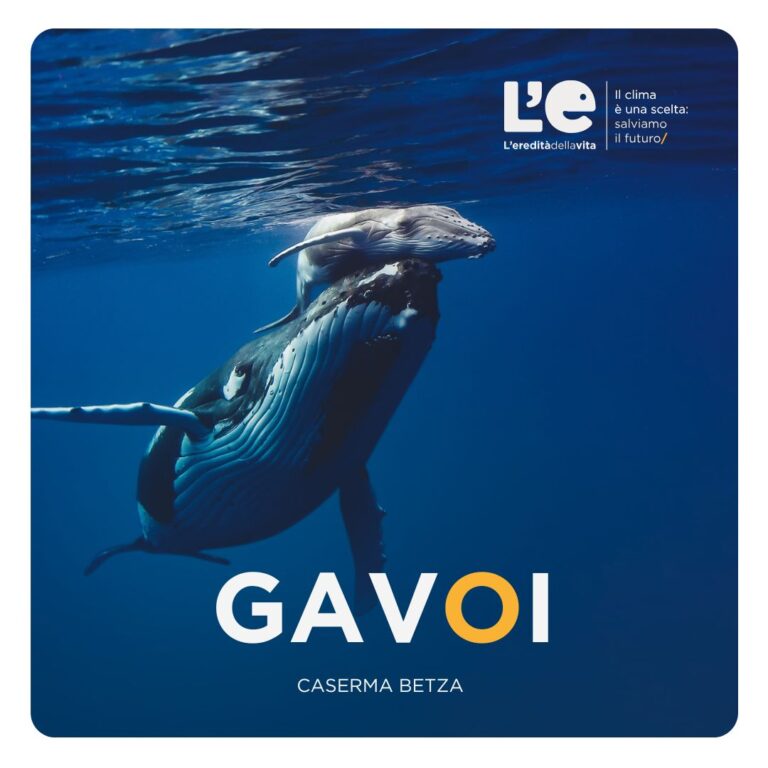 Megattera nell'oceano che spinge un piccolo verso l'alto. Una scritta grande al centro dell'immagine dice "Gavoi - Caserma Betza"