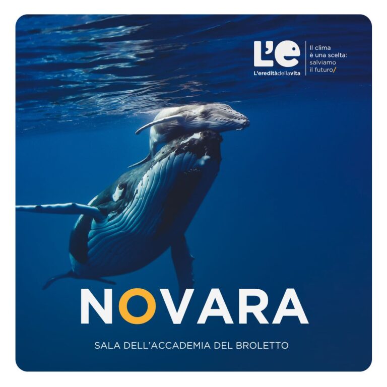 Megattera nell'oceano che spinge un piccolo verso l'alto. Una scritta grande al centro dell'immagine dice "Novara - Sala dell'Accademia del Broletto"