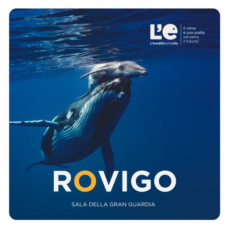 Megattera nell'oceano che spinge un piccolo verso l'alto. Una scritta grande al centro dell'immagine dice "Rovigo - Sala della Gran Guardia"