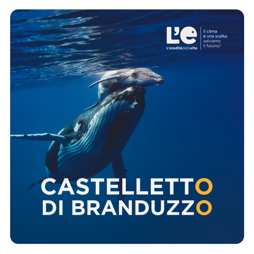 Megattera nell'oceano che spinge un piccolo verso l'alto. Una scritta grande al centro dell'immagine dice "Castelletto di Branduzzo"