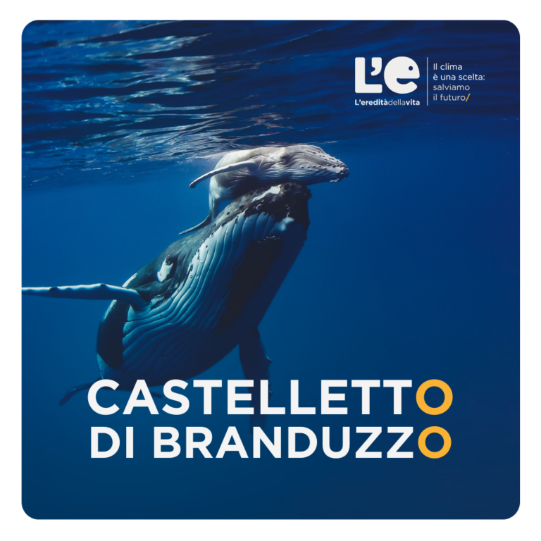 Megattera nell'oceano che spinge un piccolo verso l'alto. Una scritta grande al centro dell'immagine dice "Castelletto di Branduzzo"