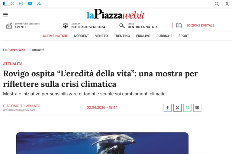 Articolo di giornale online - la Piazza Web